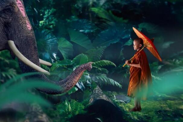 在最美的季節(jié)遇見你 雅居樂“上山下?！斌w驗(yàn)行