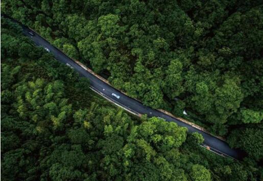 在最美的季節(jié)遇見你 雅居樂“上山下?！斌w驗(yàn)行