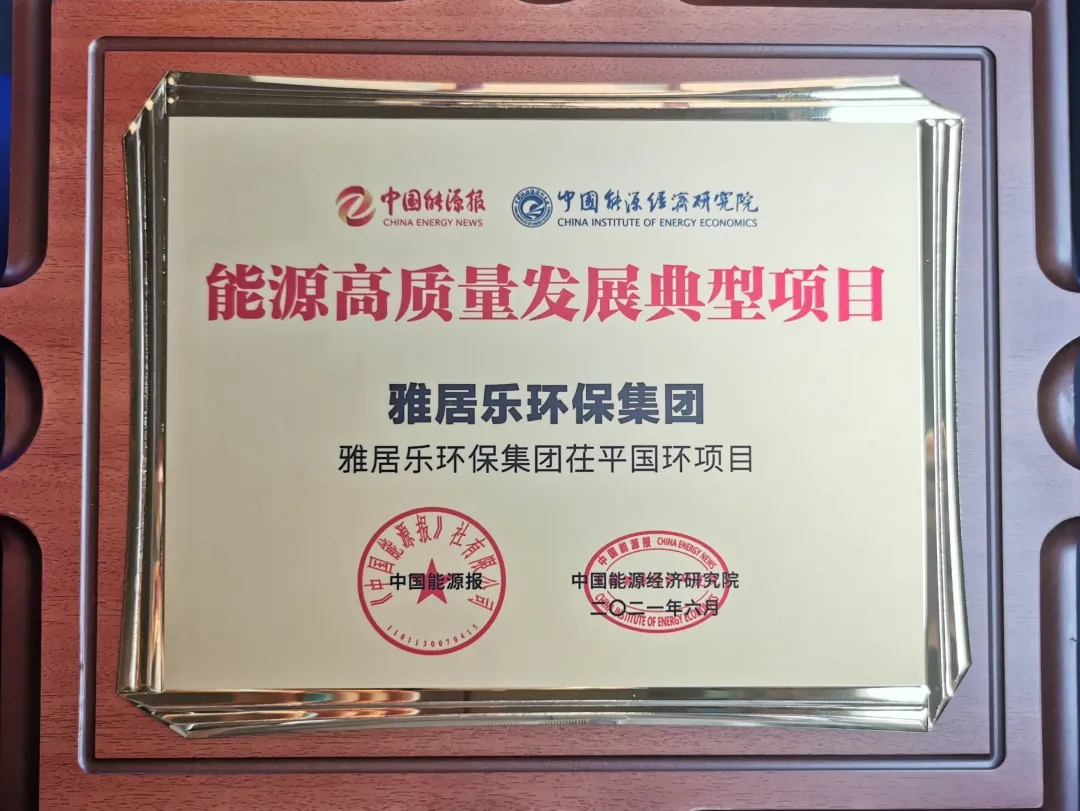 3、茌平國環(huán)能源獎.png
